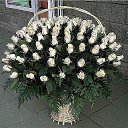 ���� �����, ������, 67 ��� - ��������� 11 ������� 2015 � ������ ������ ��������