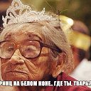 ���� �������, ��������� - ��������� 5 �������� 2015 � ������ ������ ��������
