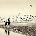 ���� �����, ������ - ��������� 31 ������� 2015 � ������ ������ ��������