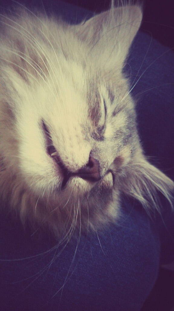       -   ...    ! ... - 2