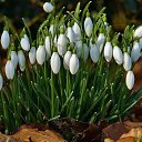 ���� �������, ������ - ��������� 24 ��� 2015 � ������ ���� ����������