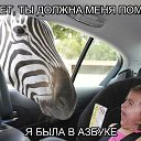 ���� ������, ���������, 43 ���� - ��������� 22 ���� 2015 � ������ �����