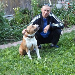 ���� Nikolai', ������ - ��������� 21 ������� 2015