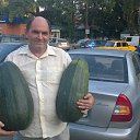 ���� C�����, �����, 66 ��� - ��������� 11 ������� 2015 � ������ ���� ����������