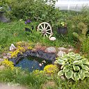 ���� �������, �����, 49 ��� - ��������� 1 ������� 2015 � ������ ���� ����������