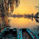 ���� ������, ������, 50 ��� - ��������� 28 ���� 2015 � ������ ������ ��������