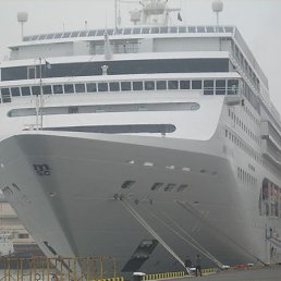 ��������, ������, 66 ���