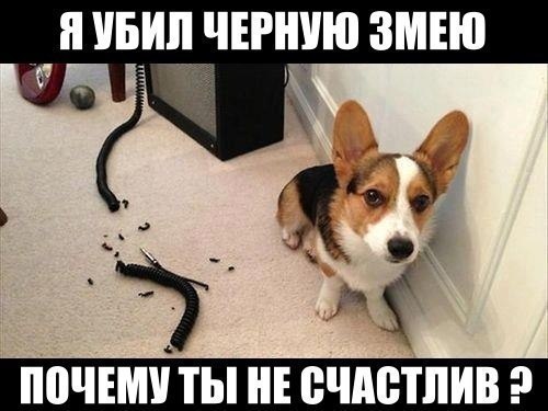  - 3  2015  13:53