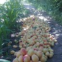 ���� �������, ���������, 45 ��� - ��������� 13 ��� 2015 � ������ ���������