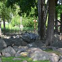 ���� �������, �����-���������, 44 ���� - ��������� 5 ��� 2015 � ������ ���� ����������