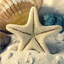 ���� �����, ������ - ��������� 29 ���� 2015 � ������ ���� ����������