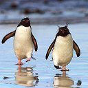 ���� �����, ������, 52 ���� - ��������� 5 ���� 2015 � ������ ������ ��������