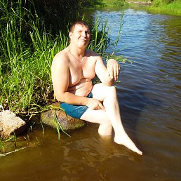 ���� �������, �����, 42 ���� - ��������� 31 ���� 2015