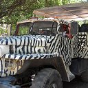 ���� Eliyas, ������ - ��������� 13 �������� 2015 � ������ ���� ����������
