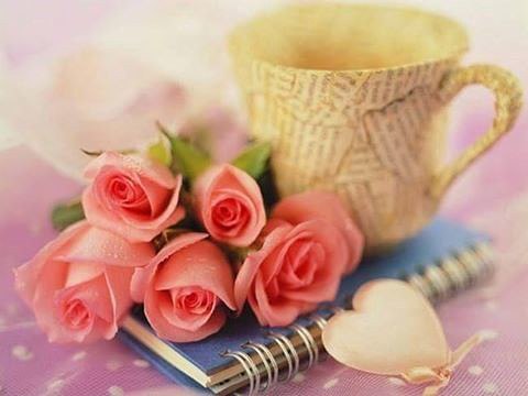 ��� �������.. �� �� �������... ����� ��� ����.. ��� ����� �������. �� �� �� ����� ���� �������... ...