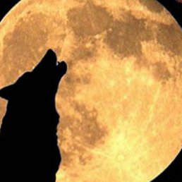 ���������, �����-���������, 40 ���