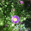 ���� H�������, ���������, 63 ���� - ��������� 11 �������� 2015 � ������ ������ ��������