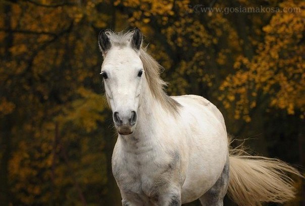   - 25  2015  21:15 - 2