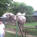 ���� ����, ������-��-����, 35 ��� - ��������� 12 ���� 2015 � ������ ���� ����������