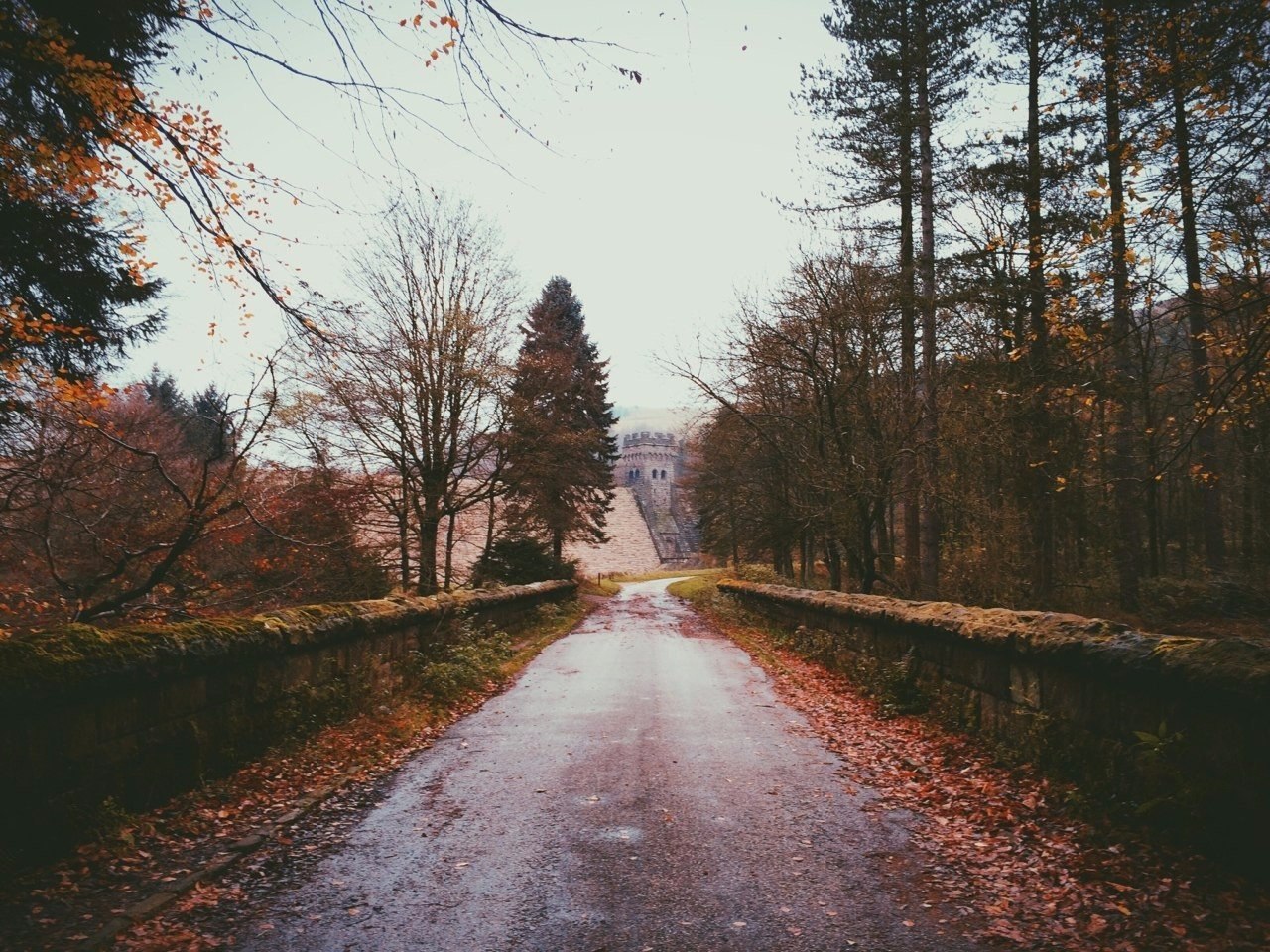   .#nature@travel.blog
