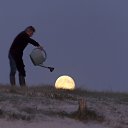 ���� ���, �������, 41 ��� - ��������� 6 ���� 2015 � ������ ���� ����������