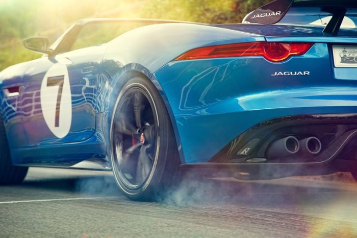 Jaguar Project 7. - 3