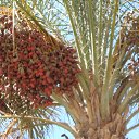 ���� ������, ����� - ��������� 21 ���� 2015 � ������ ������ ��������