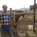 ���� ���������, �����������, 68 ��� - ��������� 27 ���� 2015 � ������ ���� ����������