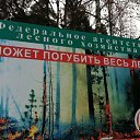 ���� ���������, ���� - ��������� 22 ��� 2015 � ������ ���� ����������