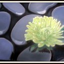 ���� ����, ������������, 64 ���� - ��������� 17 ������� 2015