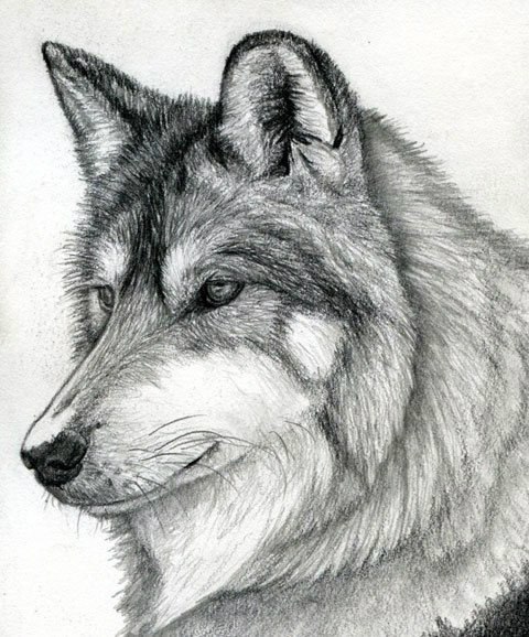   .#Art@facts2 - 8