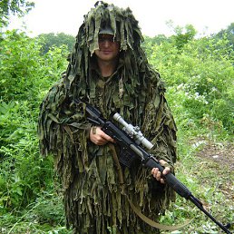 ������, �����������, 43 ����