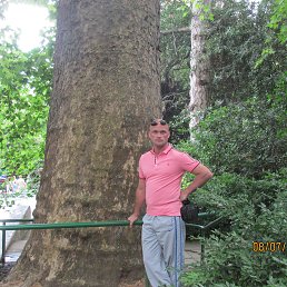 ������, �������, 49 ���