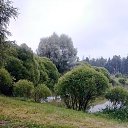 ���� �������, ������� - ��������� 22 ���� 2015 � ������ ���� ����������