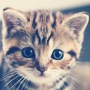 ���� ��������, �����������, 53 ���� - ��������� 2 �������� 2015