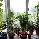 ���� ������, ������, 44 ���� - ��������� 25 ��� 2015 � ������ ���� ����������