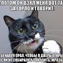 ���� �������, �������, 43 ���� - ��������� 10 ���� 2015