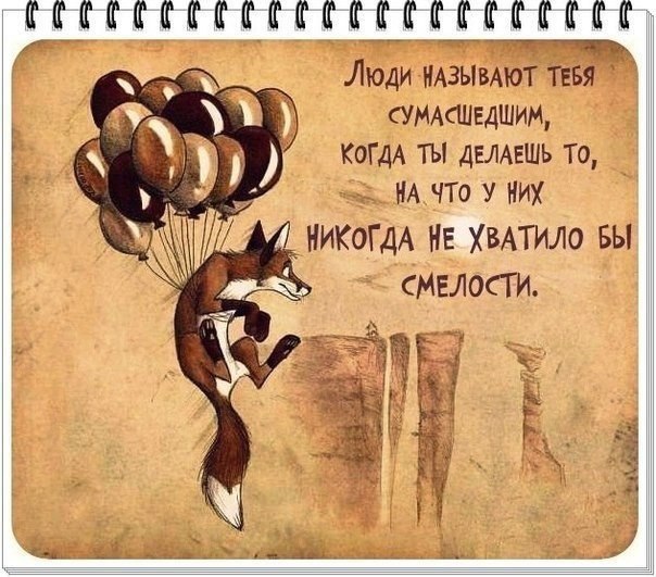   - 3  2015  22:59