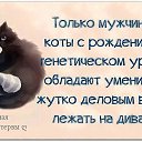 ���� ������, ������ �����, 62 ���� - ��������� 27 ������ 2015 � ������ ������ ��������