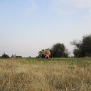 ���� *Larisa, �������, 50 ��� - ��������� 5 �������� 2015 � ������ ���� ����������