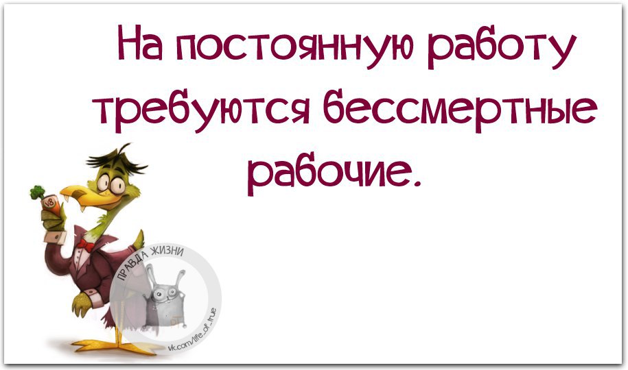 Когда работаешь без выходных прикольные картинки