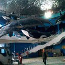 ���� ���������, �����������, 48 ��� - ��������� 30 ������� 2015 � ������ ���� ����������