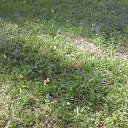 �������! �� ������� ���� ����������