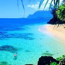 ���� �����, �����-��������� - ��������� 7 ������� 2015 � ������ ���� ����������