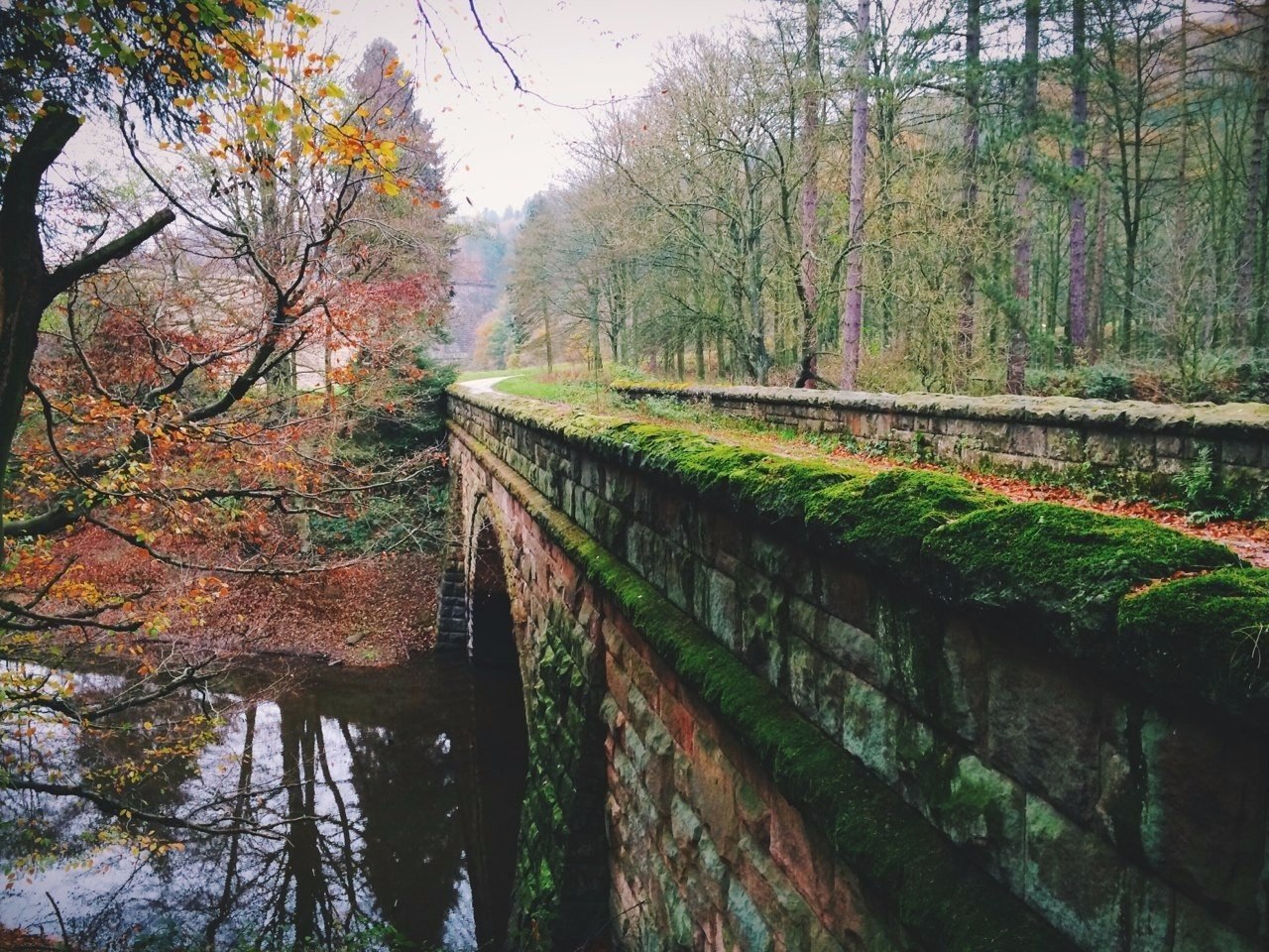   .#nature@travel.blog - 2