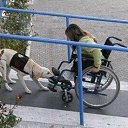 ���� ��������......., ������ ��������, 37 ��� - ��������� 9 ��� 2015 � ������ ������ ��������