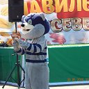���� �������, �������� - ��������� 30 ��� 2015 � ������ ��������� ������������������ ���������.�