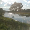 ���� ����, ������, 42 ���� - ��������� 28 ������� 2015 � ������ ������ ��������