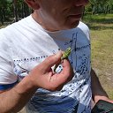 ���� �������, ����, 60 ��� - ��������� 2 ���� 2015 � ������ ���� ����������