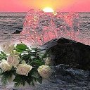 ���� �����, ������������ - ��������� 24 ��� 2015 � ������ ������ ��������